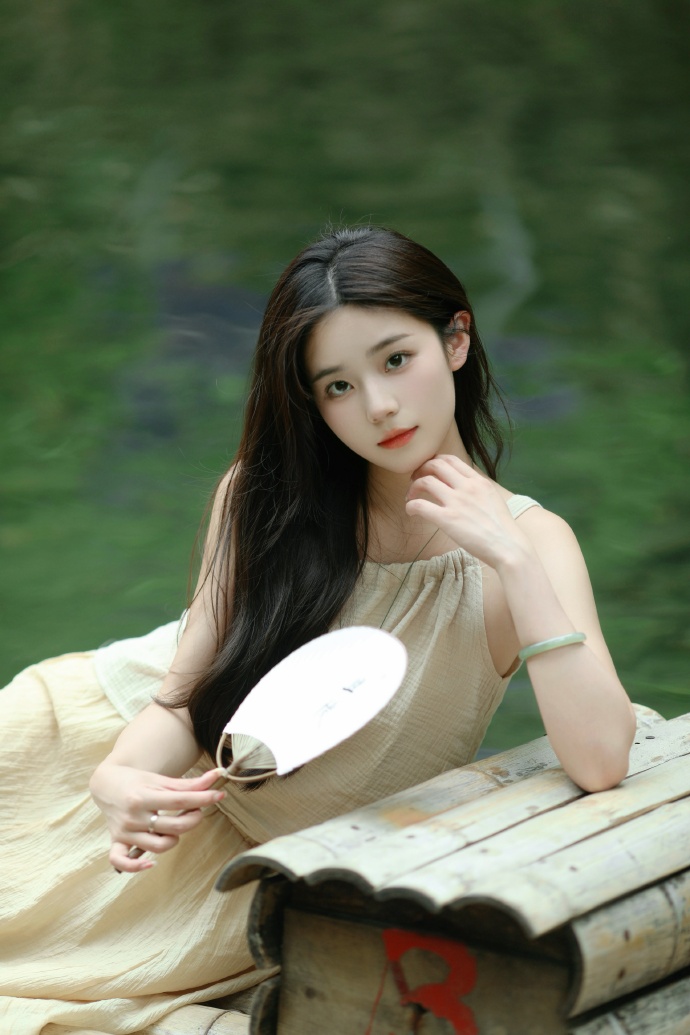 巡回检察组